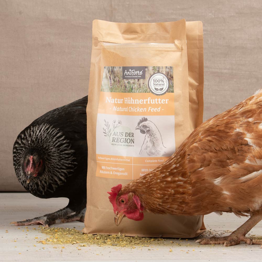 Gesundes & natürliches Hühnerfutter bei AniForte® kaufen | AniForte